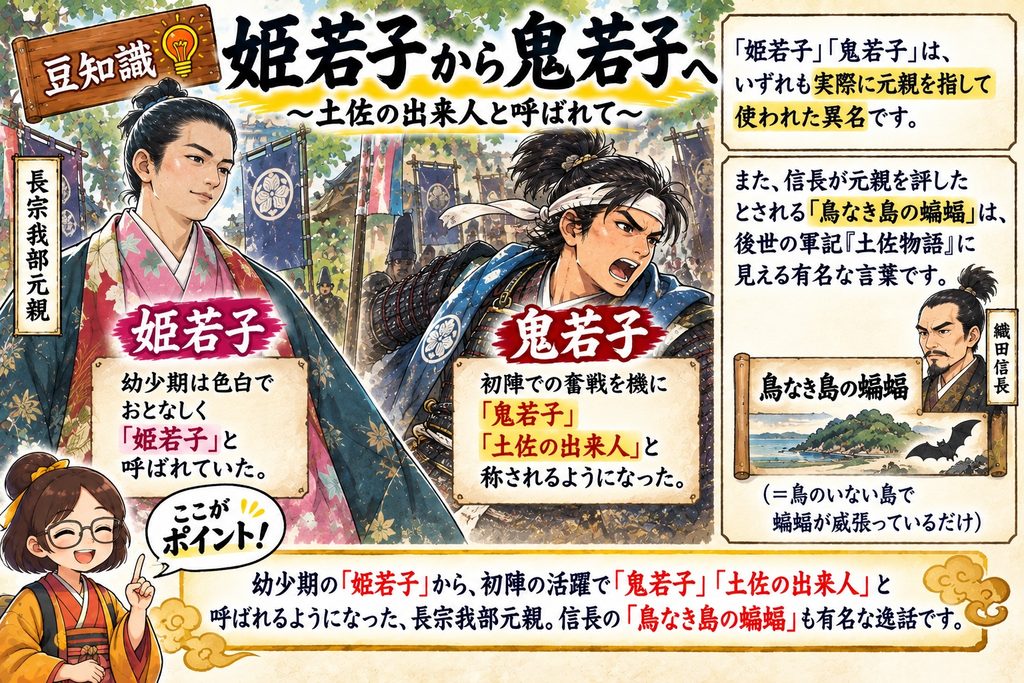 豆知識 「姫若子」「鬼若子」は、いずれも実際に元親を指して使われた異名です。幼少期は色白でおとなしく「姫若子」と呼ばれましたが、初陣での奮戦を機に「鬼若子」「土佐の出来人」と称されるようになりました。また、信長が元親を評したとされる「鳥なき里の蝙蝠（とりなきさとのこうもり／＝鳥のいない里で蝙蝠が我が物顔に飛ぶ）」も有名な言葉です。